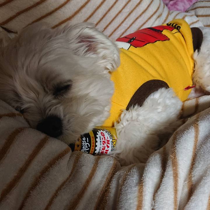 1143ce12 ccb4 4226 9f87 252170530405 1584265907846