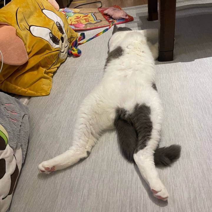 1143e18b 1661 4917 affa c906be8c11cb 1751387986675