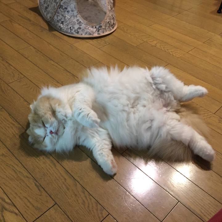 1143e84c cbc1 41b2 a75d e44a64a25985 1533894769424