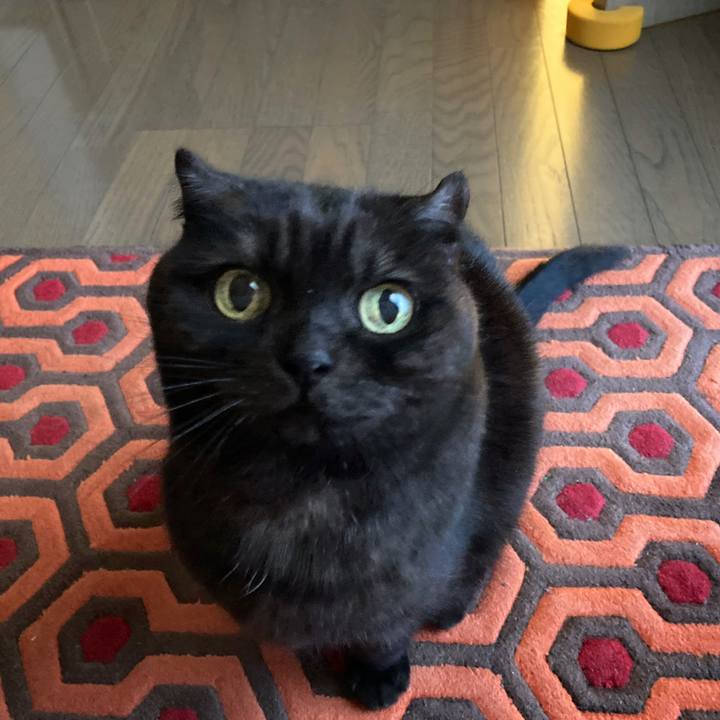 1143ec67 d753 4426 b935 0a7090f41363 1609638576844