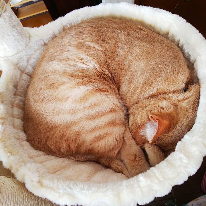 1143f2bd fb96 4721 8d7c 36f216561938 1583035253163