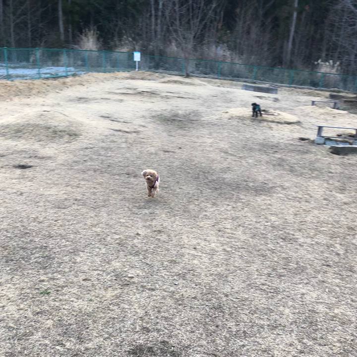 114411ea 8cae 48cd 9541 666f8f4e8328 1613185446762