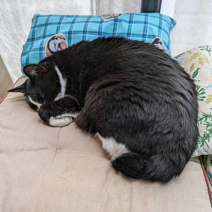 114414c2 9ec8 44db 921c d2e26a50d487 1716177404498