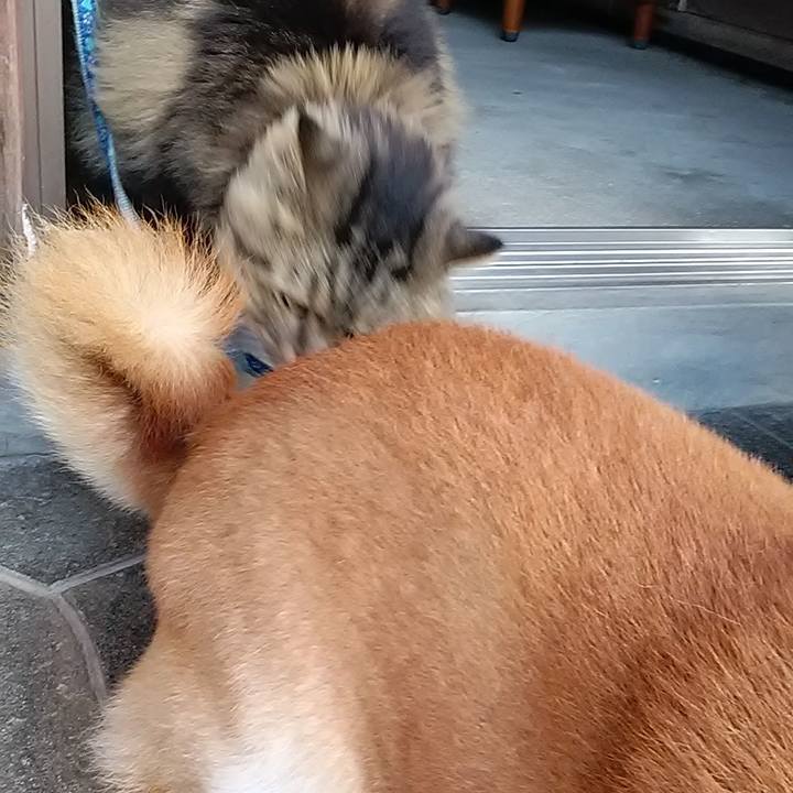 1144162b f0b0 4283 af30 544ba7045c68 1637109849587