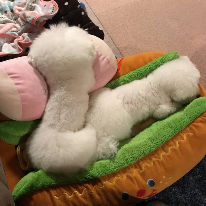 11441f4d fc7d 4fe6 a956 f93783f47074 1550405216099