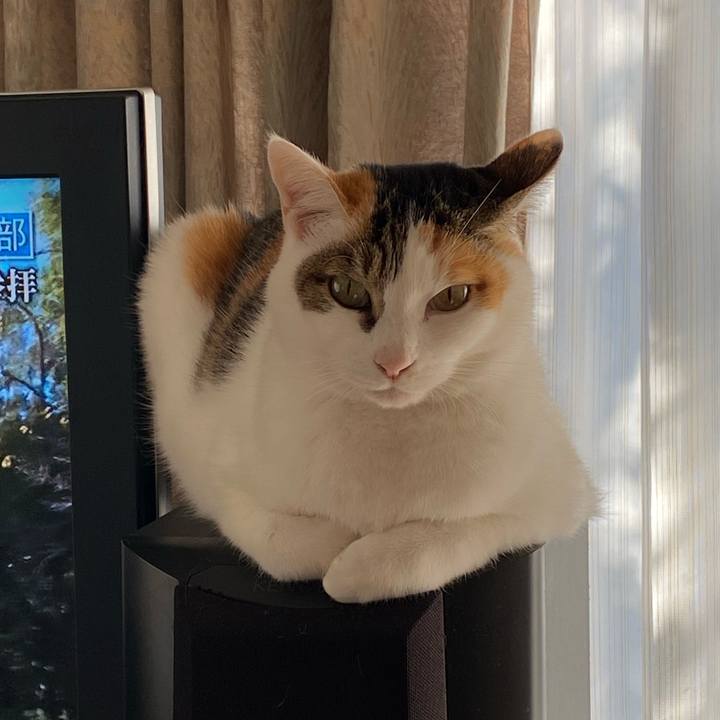 1144585b 2127 412e a309 bd48de7249ed 1766895022525