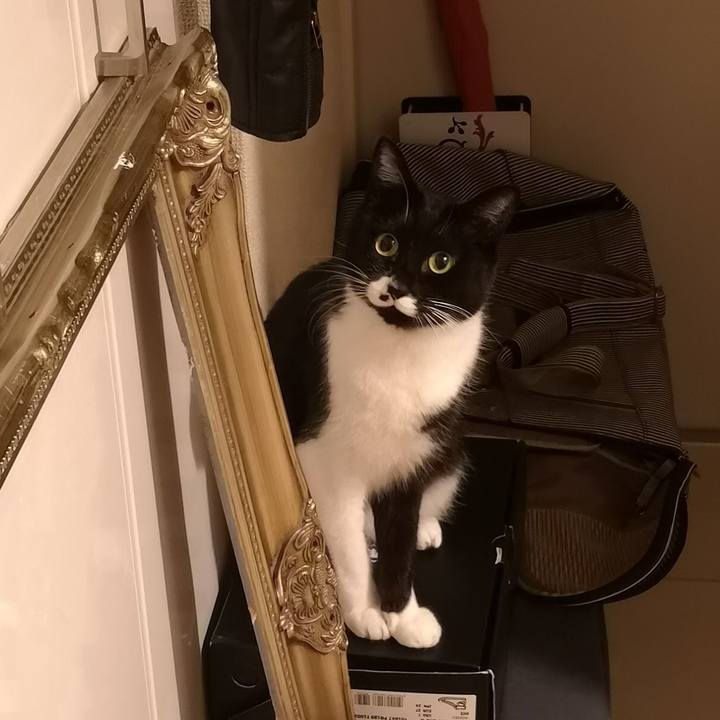 11446aca e852 4fdf a27e 510bc3abf60d 1553703880169