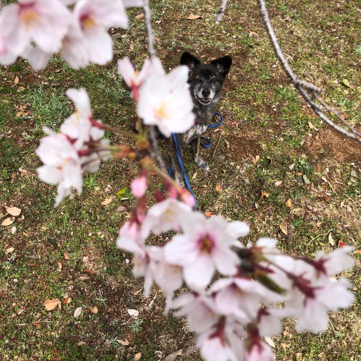 114497c7 0342 4b02 a610 9afed85a9fdc 1650120820963