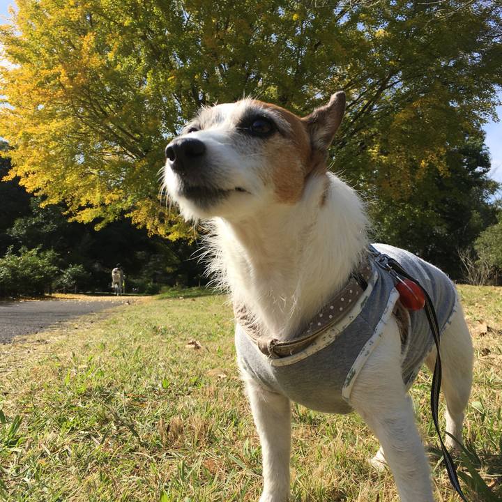 1145009a febb 4256 9d5b bd8a05e58a13 1604879464915