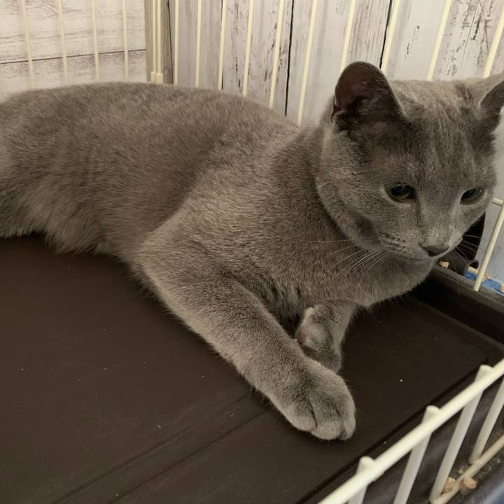 11450464 9e7c 4872 9927 9f4cfcd24b7c 1586386265501