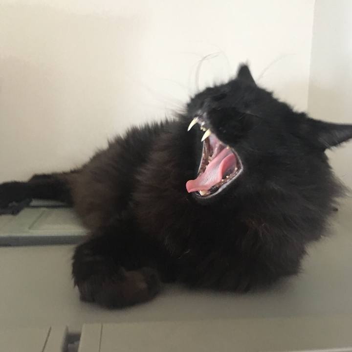 114533c2 99f2 4566 9778 52defbf254ce 1552055118902