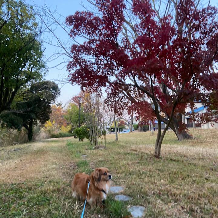 11454159 6786 46ee 8b0b 2371cfd09113 1605563541125