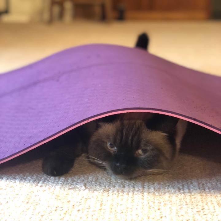 1145546d 79cd 42dc b9ed d42edefdd78a 1630724629400