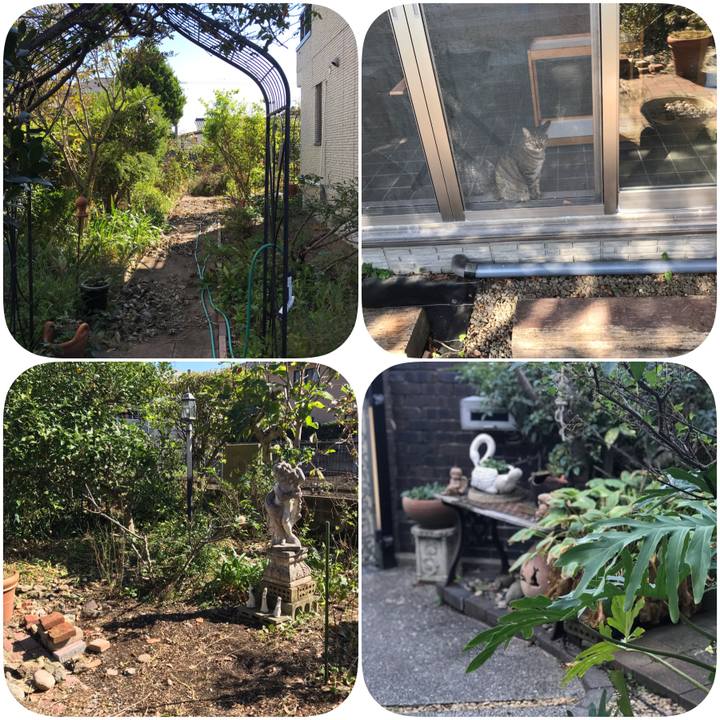 11455b9b b0a8 4b3d a0df c9eb84e86326 1603435916483