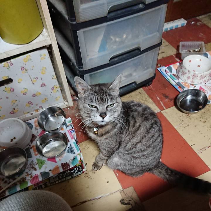 1145ffce e23d 4e38 8921 bc80eaac5ec1 1590436227687