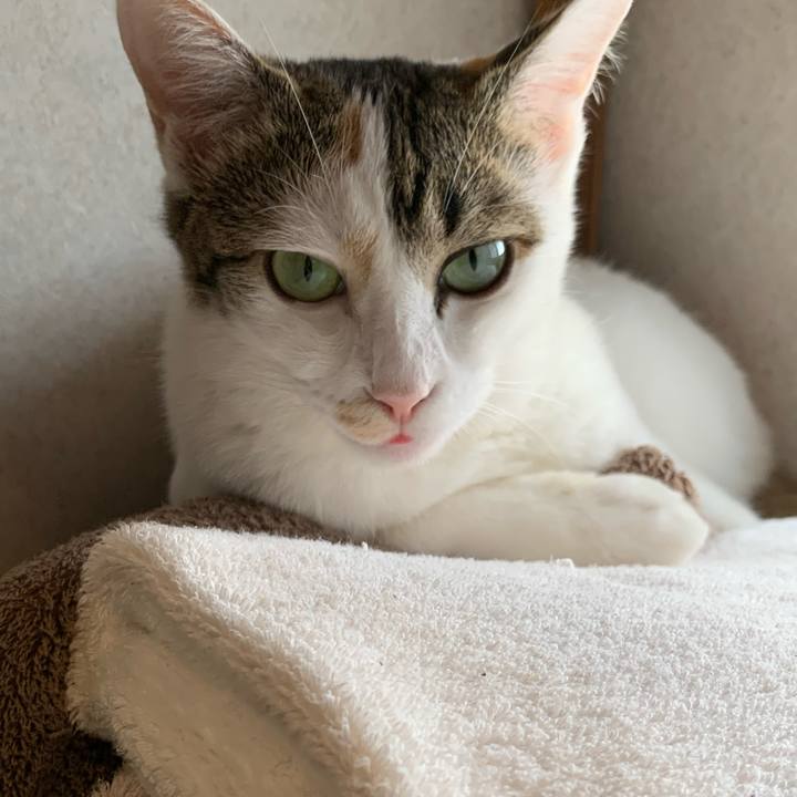 1146037b c121 4b5c ad08 1e34b33f05cf 1626744146233