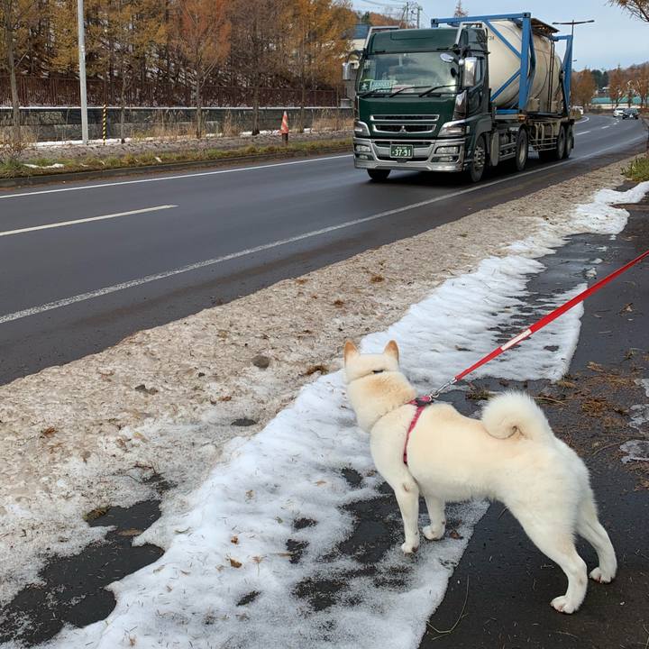 11460d06 316b 4f46 9b5d 7bc3456ebd43 1574555490060