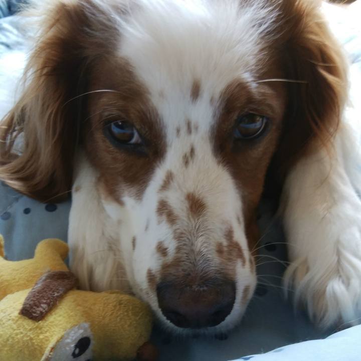 114632da 8692 4ef4 998b fc6e4fb00292 1533340639959