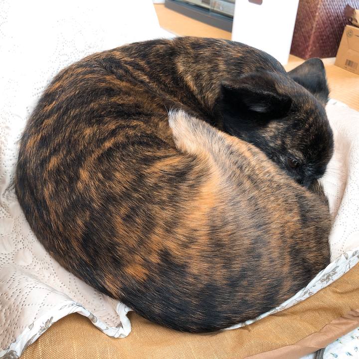 11464a5f 7540 4ae8 baa0 c8d8a660a943 1578487158280