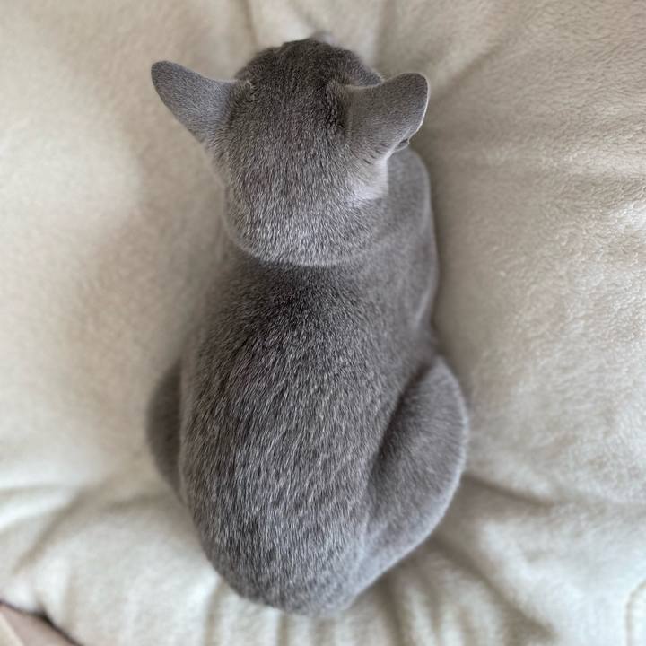 11466603 7f80 43fe 9859 f69cb75575be 1642569010772