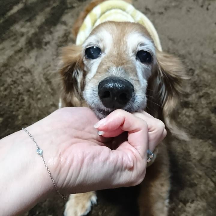 1146a49e 6aab 417f bf5a 81700b3ab6ae 1514522139782