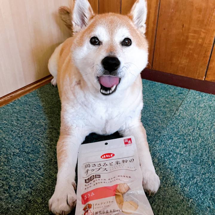 1146ab2d 1f6e 4b62 b6d2 855ff6bec52e 1715564256741