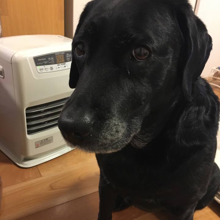 1146b067 43f3 4346 b7e6 5fd541177e7d 1518215040874