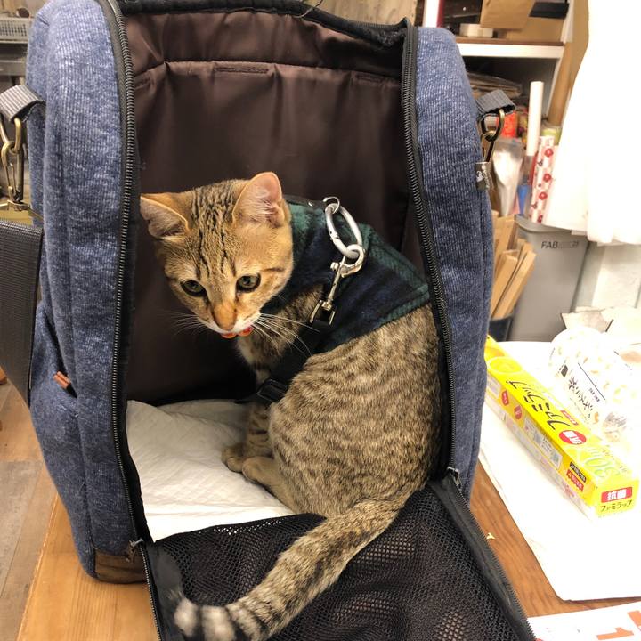 1146b326 6e36 4eed bd80 2ed86d3906d2 1583109205786