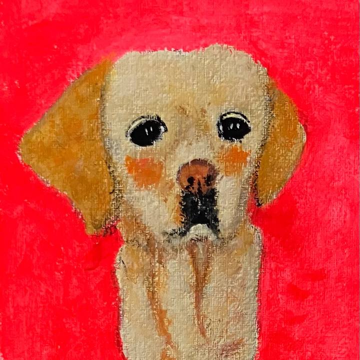 1146dbf3 dab8 496d a6e6 fd17ab624e43 1748529229653