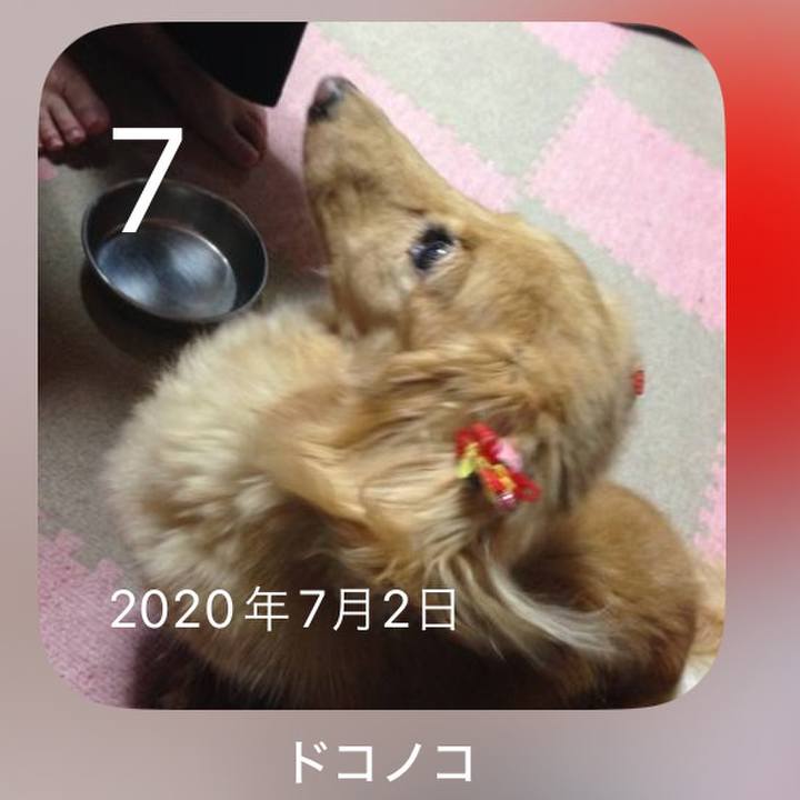 114748e7 3067 4e97 8ed3 5fe6ccf56515 1720359396789