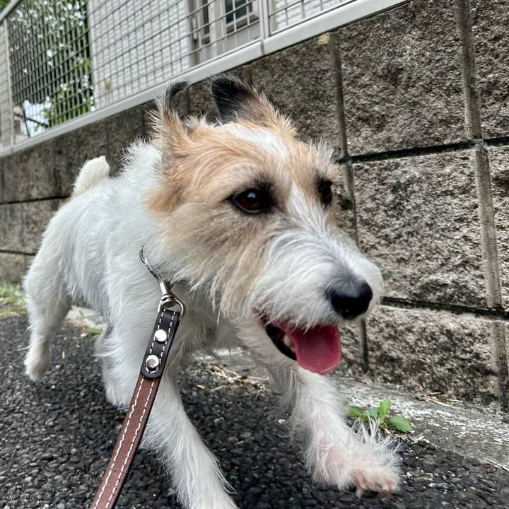 11475e26 59d1 4245 8a17 f8f7f303e927 1727618479234