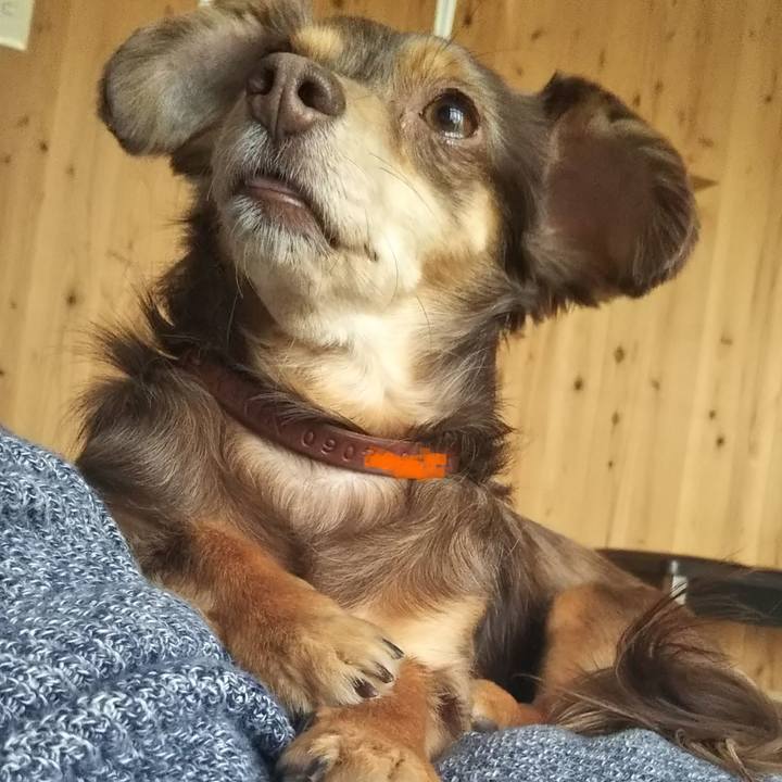 11475fa3 6a84 4170 890a 9b0e8a11de79 1524298144300