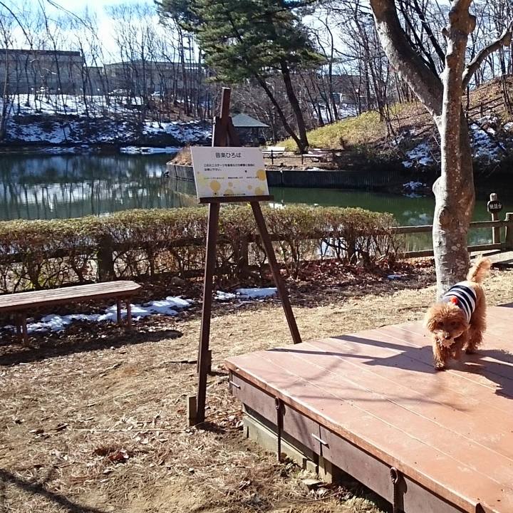 11477e48 960f 4edd ad54 dbf3b2e2a361 1518096296563