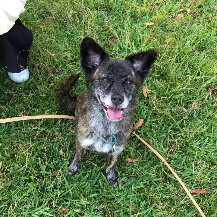 11479eb4 f524 45ec a874 7205a4a88684 1570628910465