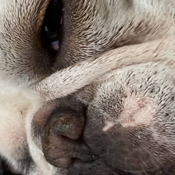 1147a50b 4a96 4d09 8dbb 73bf80f5b6e0 1650409080763