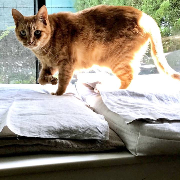 1147c0da 831f 4bc1 99a4 a76c1e5c48a7 1557886359953