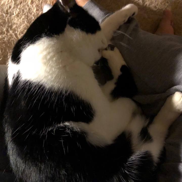 1147e32c 49fe 4d60 b3e9 2c39d9793caa 1548675798257