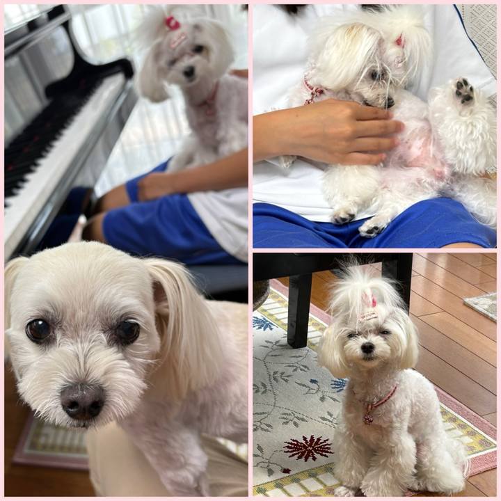 1147ec12 1e5c 4c54 9101 bf97be571416 1751445646735