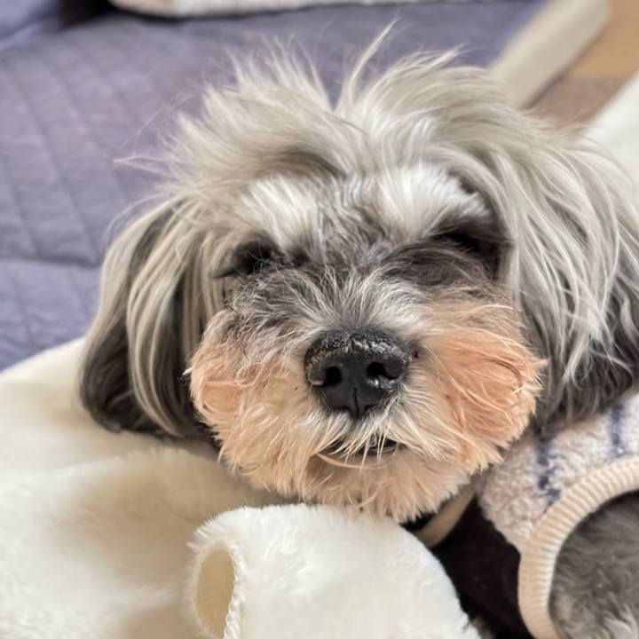 114810fe 2164 469b a424 df526040647a 1761366485770