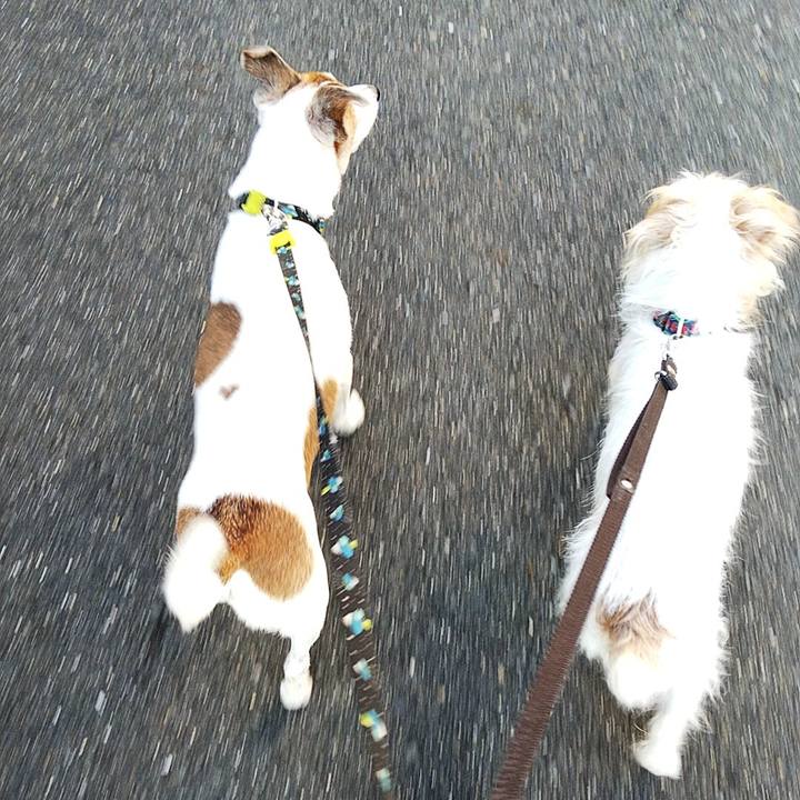 1148a872 1d67 4760 9145 0d2feaf712d2 1571785252662