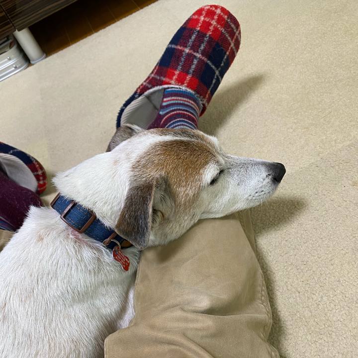 1148bc78 6d88 490b b727 b8bef5c9a536 1609215310349