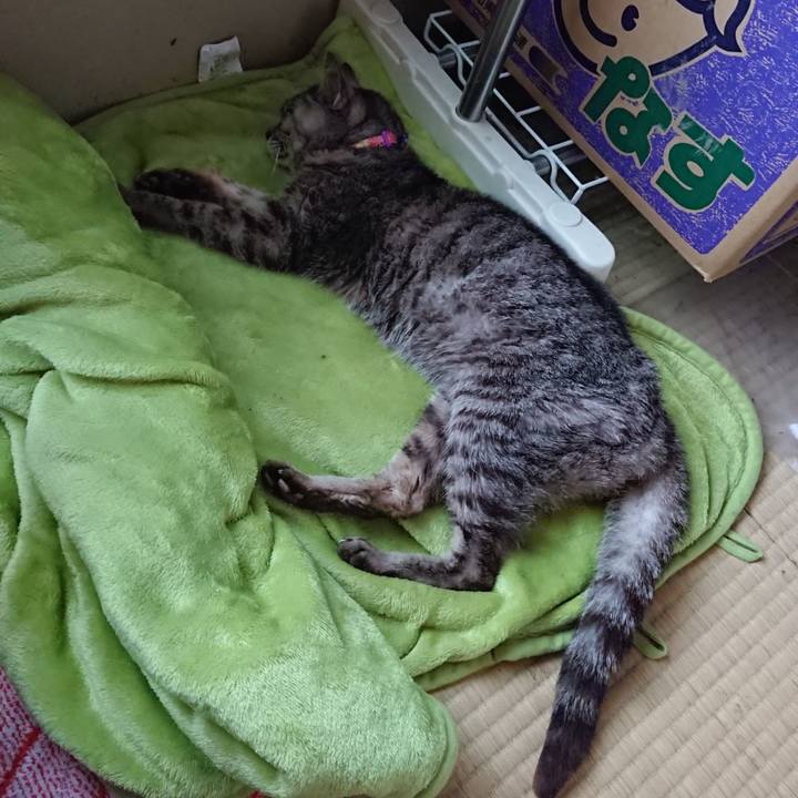 1148ca38 65e3 4fff 9aa1 559362328ccb 1597049072102