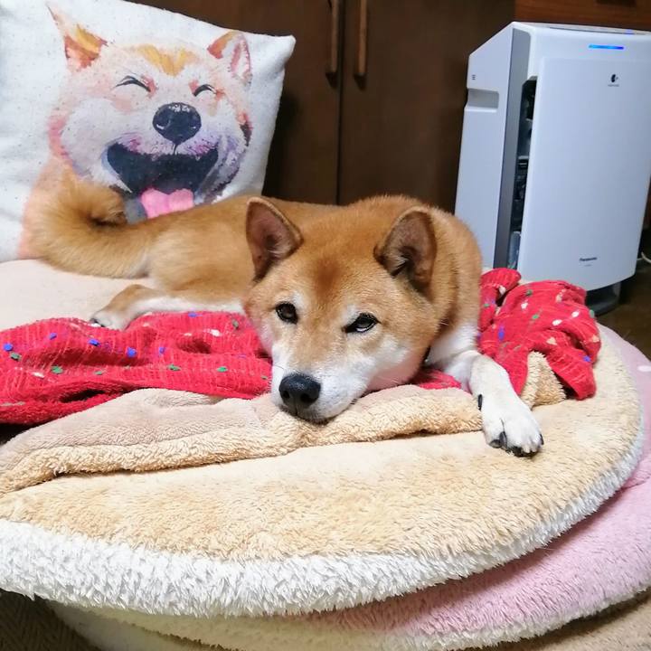 114987d7 064e 4160 9ac5 29b78b400fe5 1629191136438