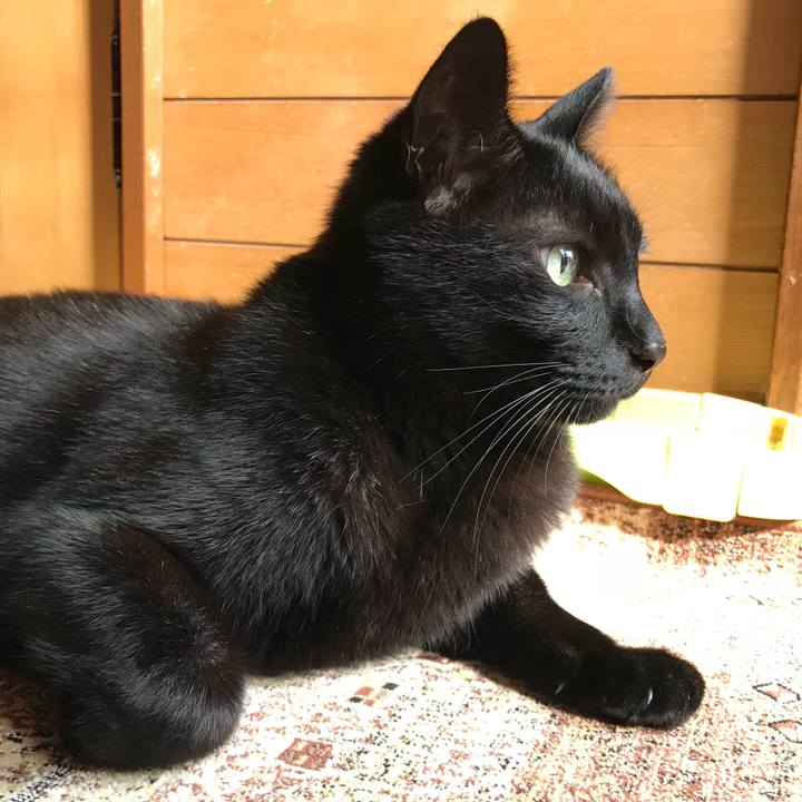 11498983 46c7 4157 87be 7782e096aef4 1525137847016