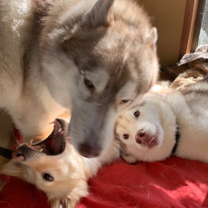 1149a28d 282e 40cd 9c55 ce64578ec3c1 1573836361855