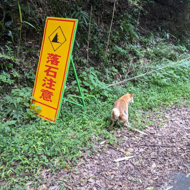 114a2682 a271 44f9 b9e1 f0b62e9b6061 1634466440440