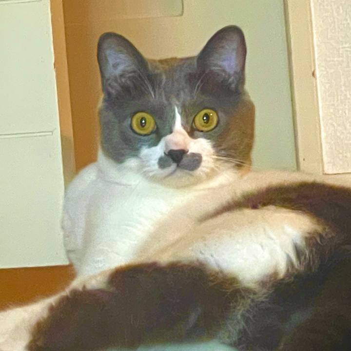 114a27fa b4a7 4c07 9521 538f2c2af4fa 1626142188039