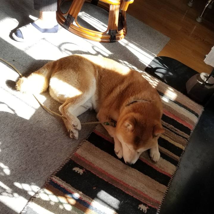 114a2b72 7605 4ef0 b227 1afc1eafda43 1619392712371