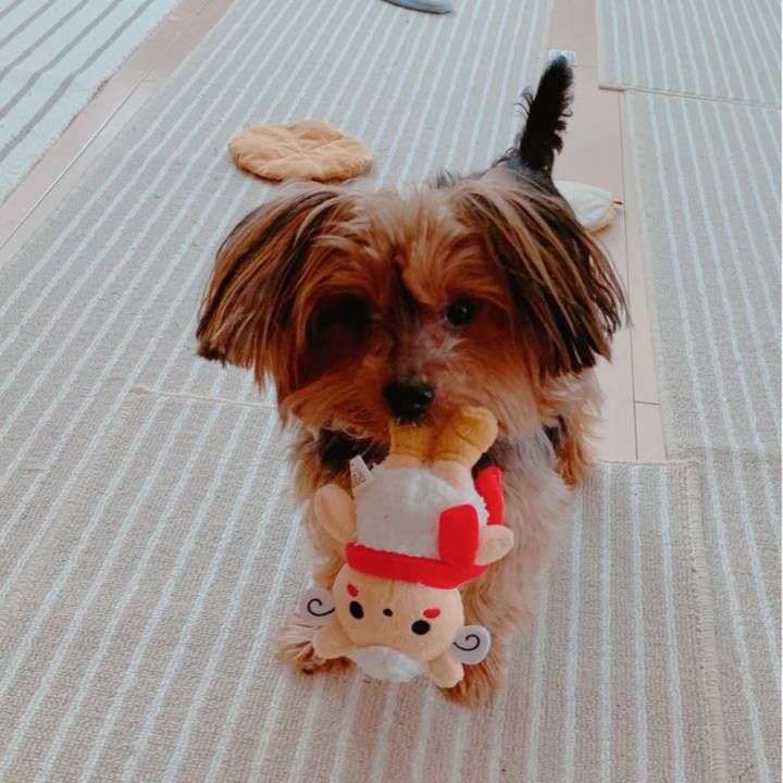 114a2c25 e776 4a6b bcb3 e88a8a46f0d0 1581329946595