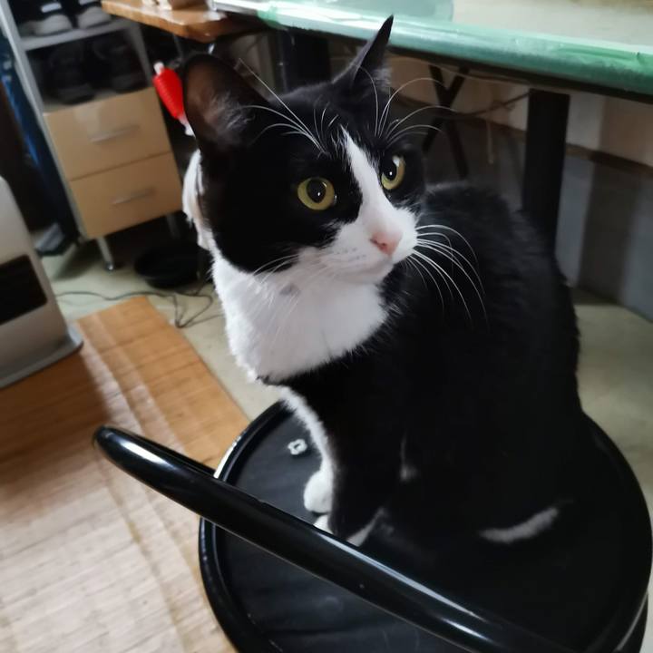 114a4176 f053 402b 8115 68d133ef6b5c 1703223041299